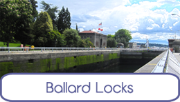 Ballard Locks Seattle button