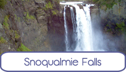 Snoqualmie Falls Seattle button